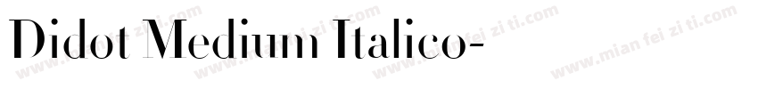 Didot Medium Italic0字体转换